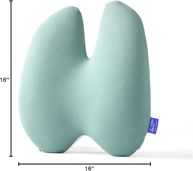 C CUSHION LAB Extra Dense Lumbar Pillow - Image 10