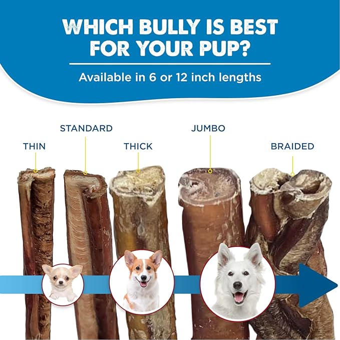 Best Bully Sticks 6 Inch Bully Sticks - Image 5