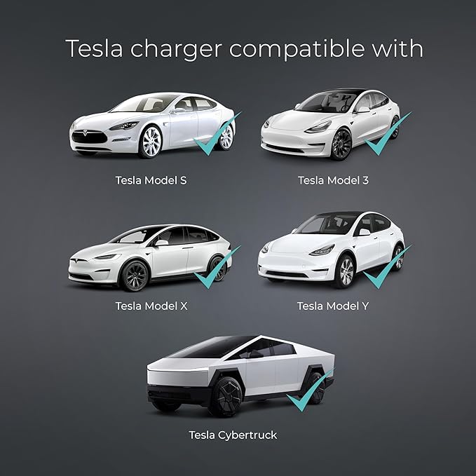 Lectron Level 2 Tesla Charger - 240V - Image 3