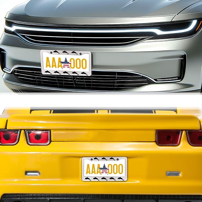 License Plate Frames for Women Black and White License Plate Protector for Men - Image 8