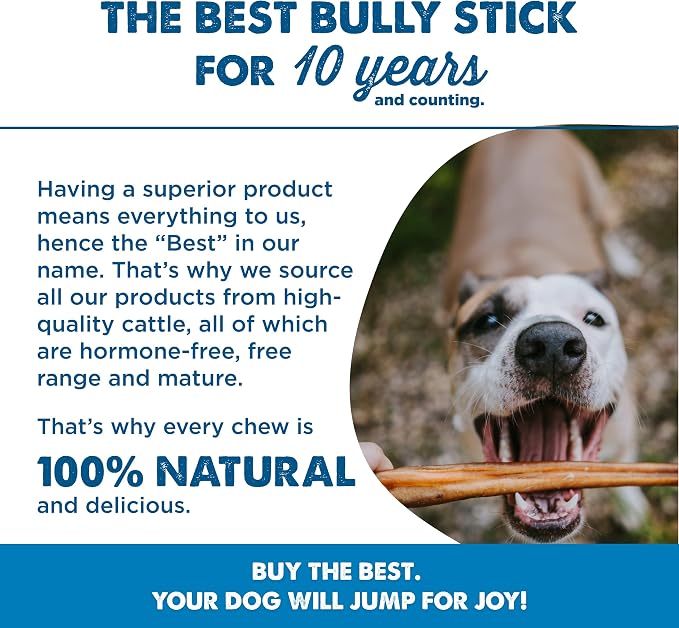 Best Bully Sticks 6 Inch Bully Sticks - Image 6