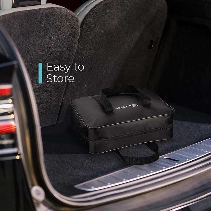 Lectron Level 1 Tesla Charger - 110V - Image 5